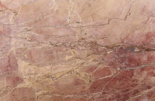 rosa-fantastiko-20-m-2021 (1)